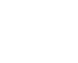 LOGO DS